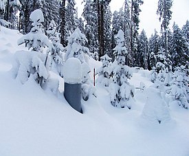 Overfilled snow collector on LWF site Beatenberg (canton of Berne), winter 2004/2005.