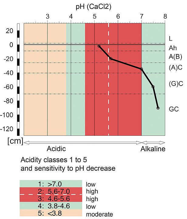 pH gradient (pH CaCl2) in the soil profile