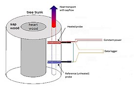 Schematischer Aufbau eines Saftflusssensors.