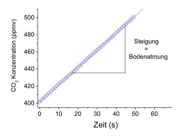Die linear ansteigende CO2-Konzentration ist die Bodenatmungsrate.