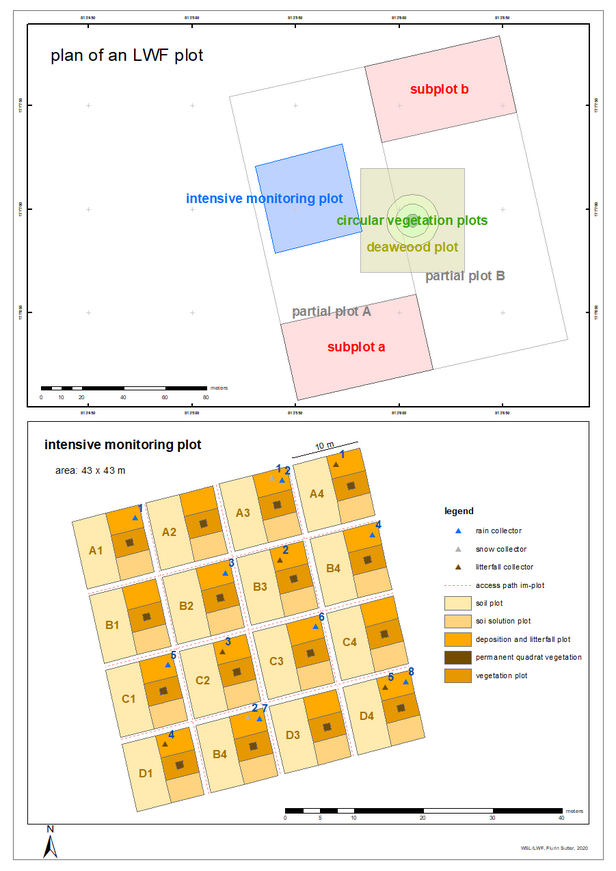 Schematic layout of an LWF plot. 
