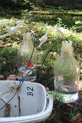 We use lysimeters to collect soil solution continuously. 