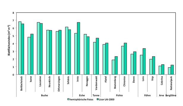 Grafik: Blattflächenindex (LAI) auf den LWF-Flächen in 2011