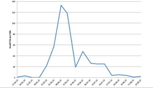 Graph: Example of the seasonal development of longhorn beetles (Cerambycidae) in a windthrow area 10 years after the storm Lothar in 1999.