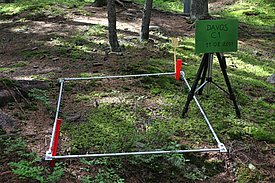 Vegetation quadrats used to record the cover of various plant species. 