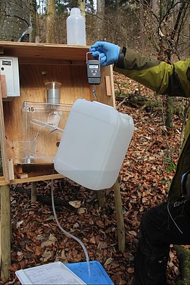 Weighing a stemflow sample