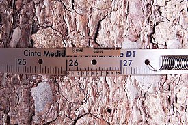  Detail of a permanent tree-girth tape. The unit is pi/1 [cm]. Therefore, the measured value directly indicates the diameter of the stem. 