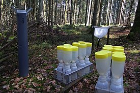 Replacing rain collectors on LWF site Vordemwald (canton of Aargau)