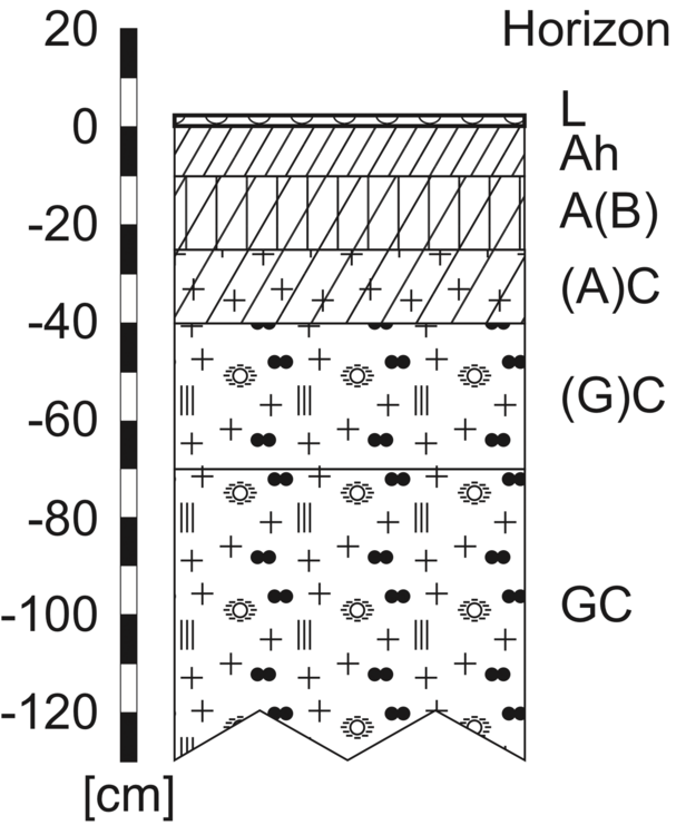 Name and depth of soil horizons