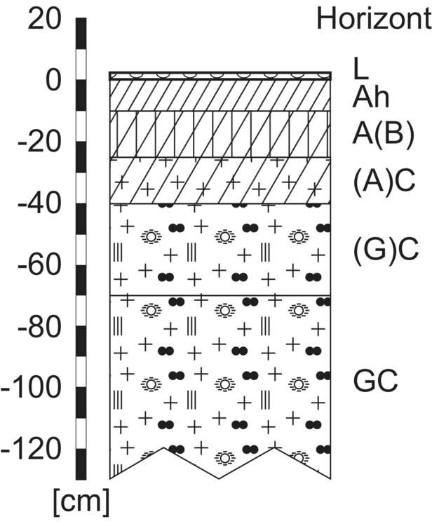Grafik: Bezeichnung und Tiefe der Bodenhorizonte. 