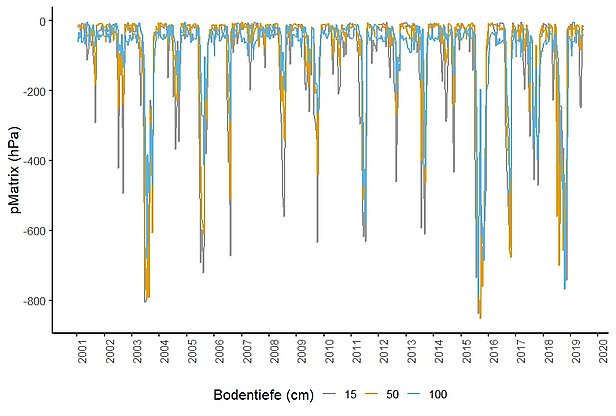 Grafik: Saugspannung in drei Bodentiefen in Vordemwald zwischen 1996 und 2013. Je tiefer die Werte, umso schwieriger wird es für die Bäume, Wasser aus dem Boden aufzunehmen (z.B. Sommer 2003).