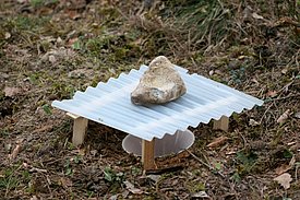 Pitfall trap used for insects that are active on the soil surface.
