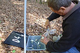 Soil solution sampling