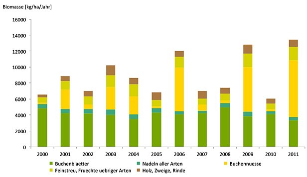 Grafik: Jährliche Streueinträge auf der LWF-Fläche Lausanne von 2000 bis 2011 (kumulierte Biomasse von April bis März folgenden Jahres) – die Menge Buchennüsse bzw. Buchecker variiert von Jahr zu Jahr beträchtlich.