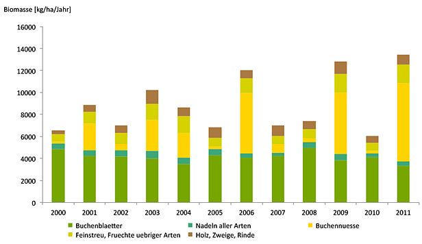 Grafik: Jährliche Streueinträge auf der LWF-Fläche Lausanne von 2000 bis 2011 (kumulierte Biomasse von April bis März folgenden Jahres) – die Menge Buchennüsse bzw. Buchecker variiert von Jahr zu Jahr beträchtlich.