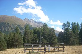 Open-field weather station near LWF site Celerina (canton of Grisons). 