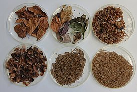 Sorted litterfall samples from the LWF site Bettlachstock