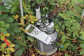 Soil respiration measurement: chamber with infrared gas analyser.