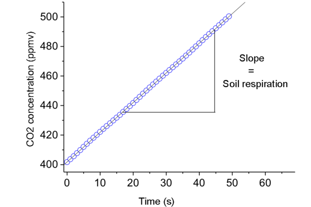 The linearly increasing CO2 concentration is the rate of soil respiration. 