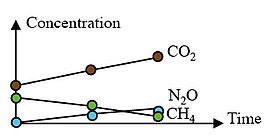 Change in gas concentration over time